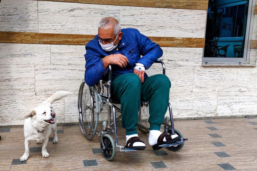 [WATCH] Loyal Dog Boncuk Waits For Sick Owner at Hospital for 6 Days